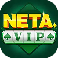 NETA VIP